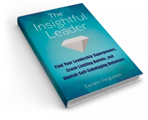 The Insighful Leader Book
